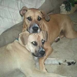 Meet your Posher, Daisyrocky